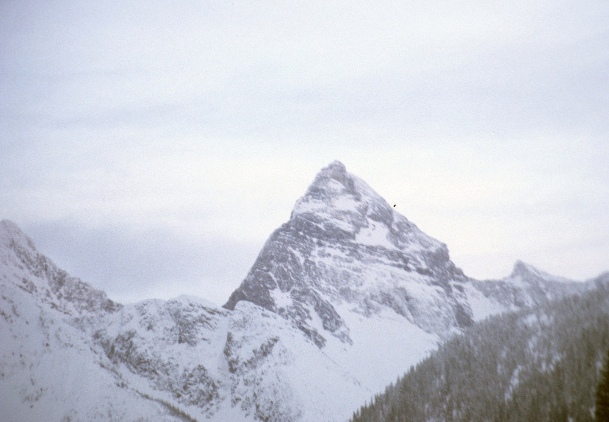 Canadian Rockies near Banff