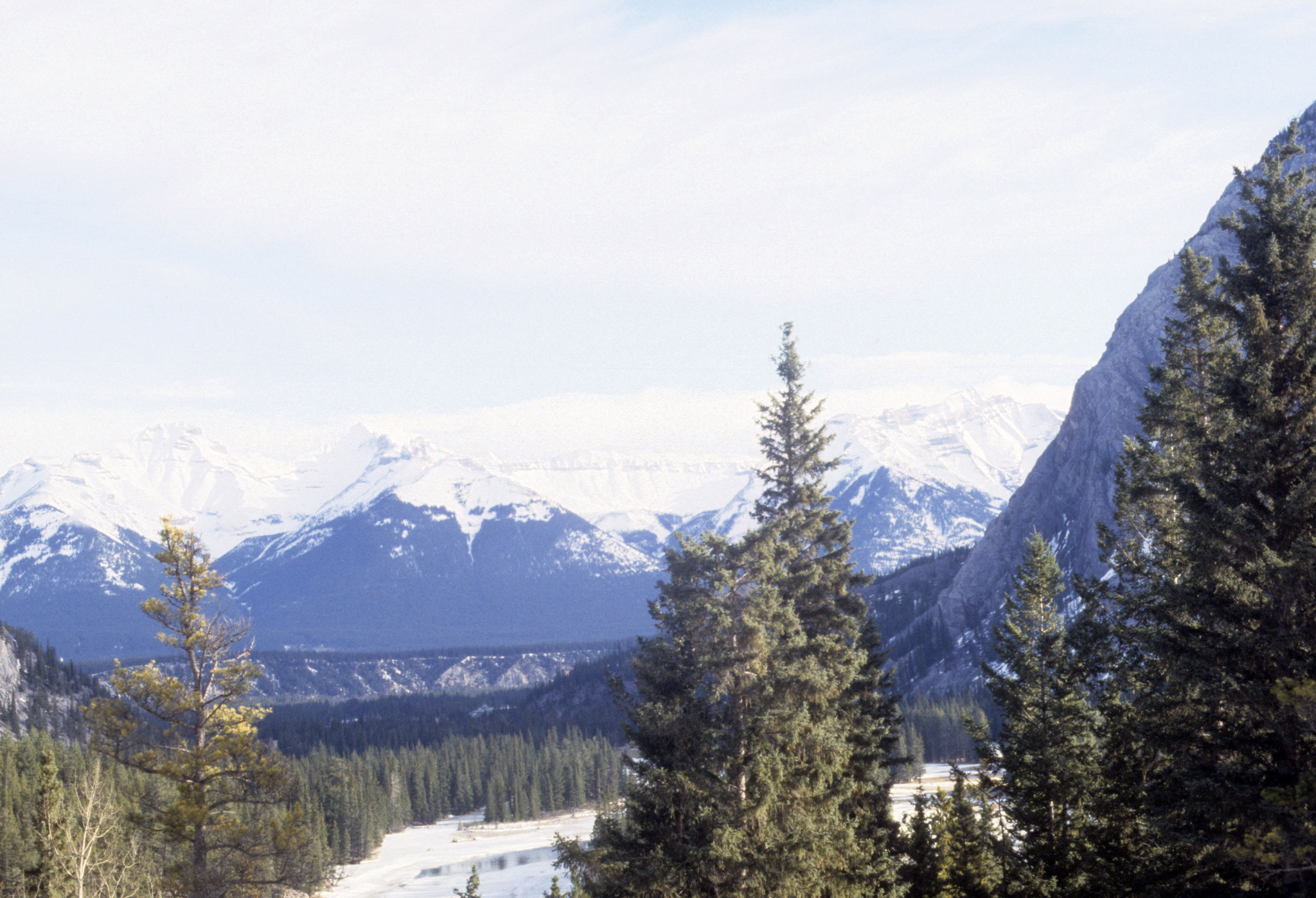 Near Lake Louise