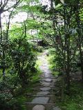 Curving path towards teahouse