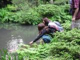 Frances and Yasuko go for the carp nibble