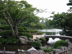 Tree in front of stone bridge