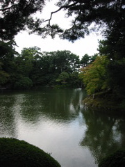 Shadowed pond