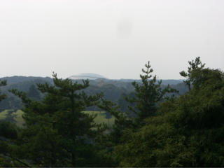 Ikimono Jinja View