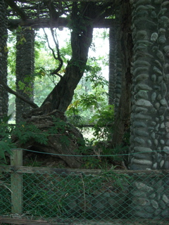 Sayama Dam Park 6