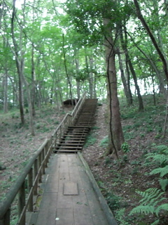 Tamako Trail Causeway 2