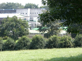 Hachikuniyamaryokuchi High