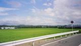 Ushimado rice field